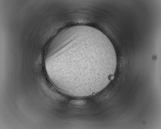 X0000112510639200909071309