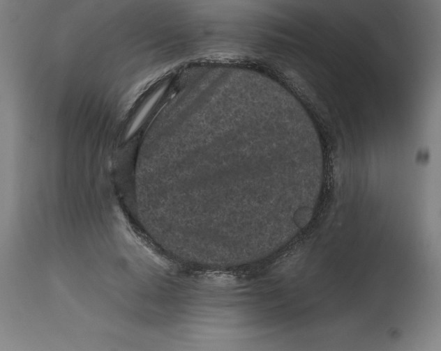 X0000112510640200909071309