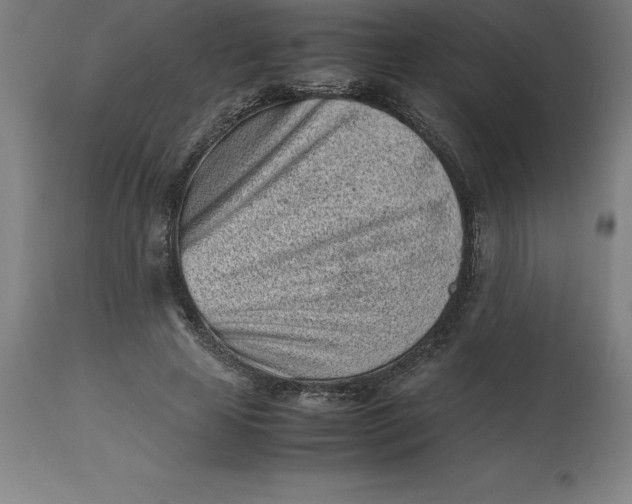 X0000112510641200909071309