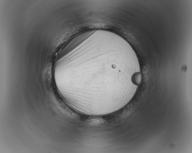 X0000112510642200909071309