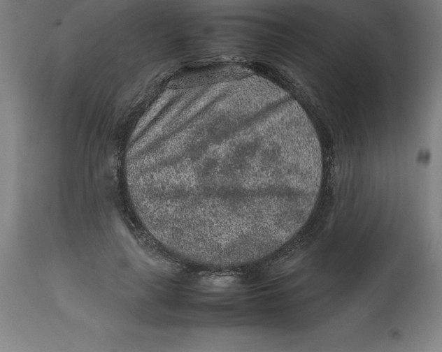 X0000112510643200909071309