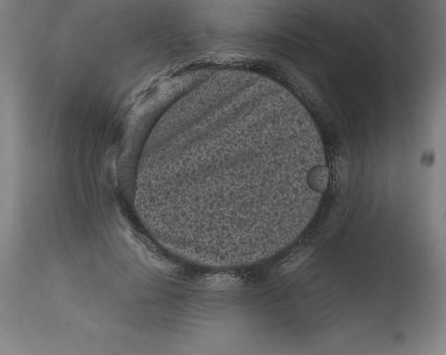 X0000112510644200909071309