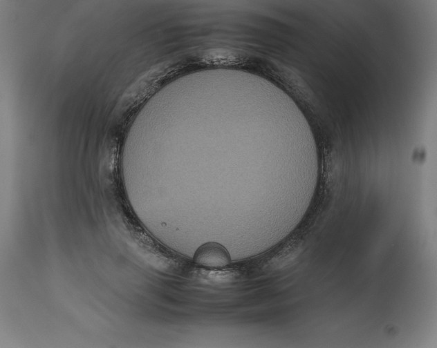 X0000112510645200909071309