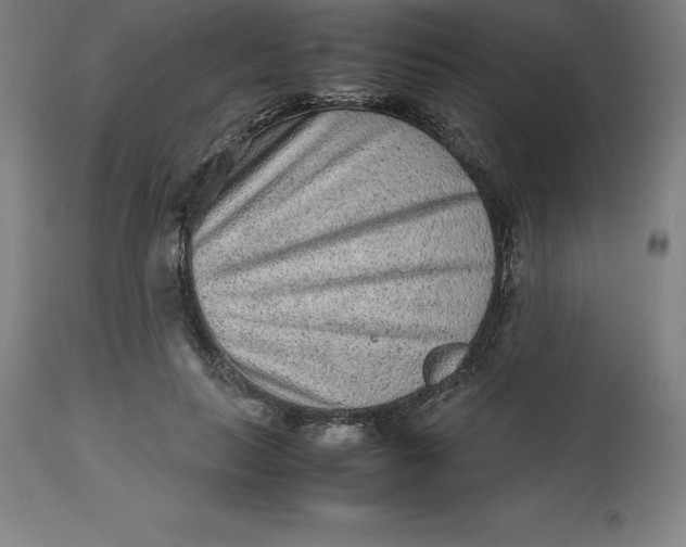 X0000112510647200909071309