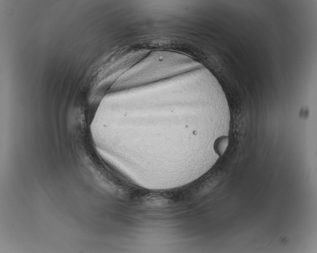 X0000112510648200909071309