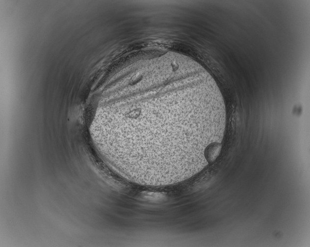 X0000112510649200909071309