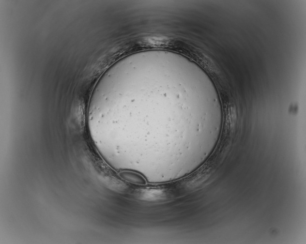 X0000112510651200909071309