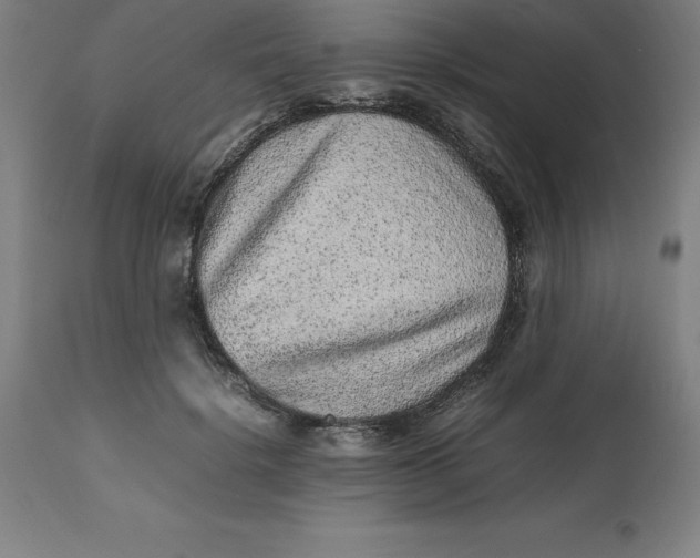 X0000112510652200909071310