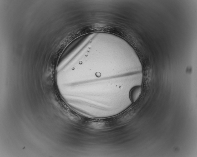 X0000112510653200909071310