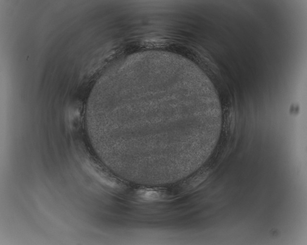 X0000112510655200909071310