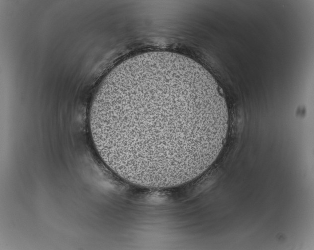 X0000112510656200909071310