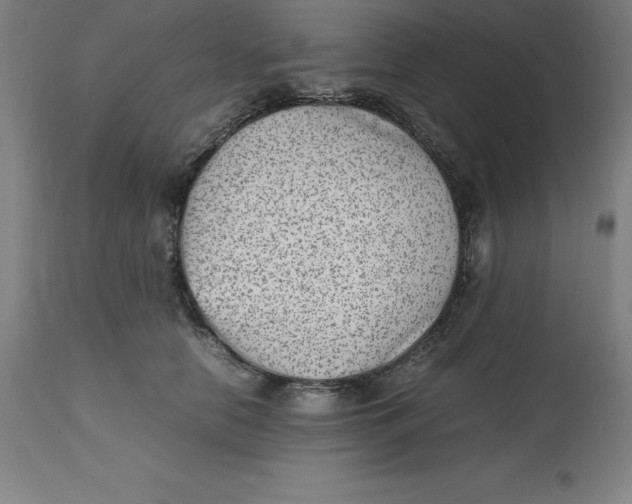 X0000112510658200909071310