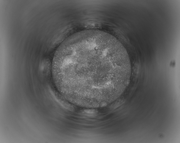 X0000112510659200909071310