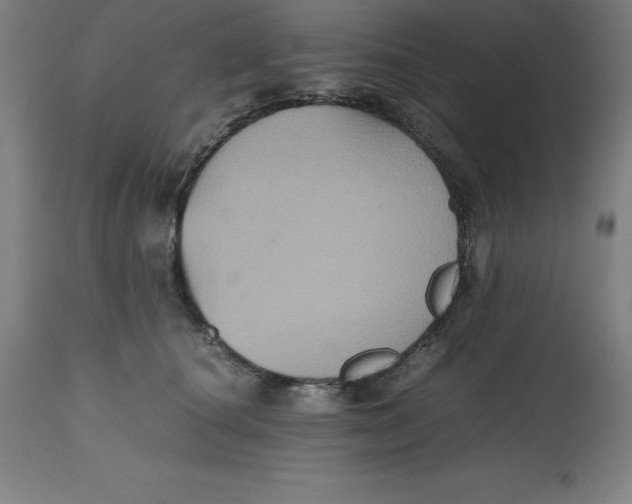 X0000112510660200909071310