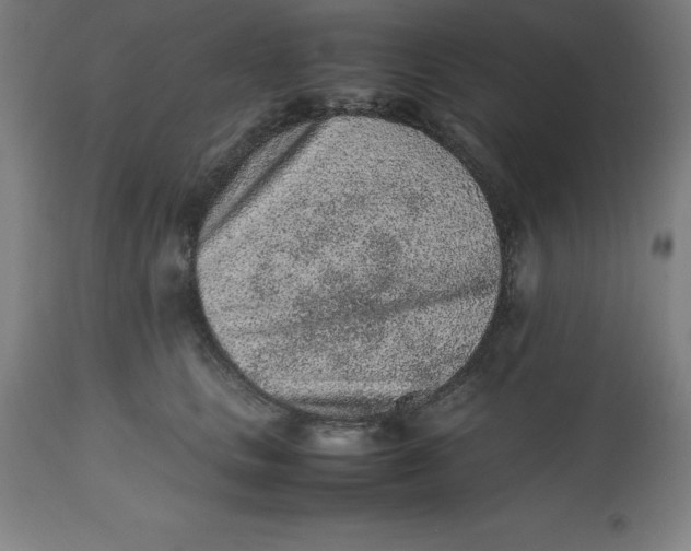 X0000112510661200909071310