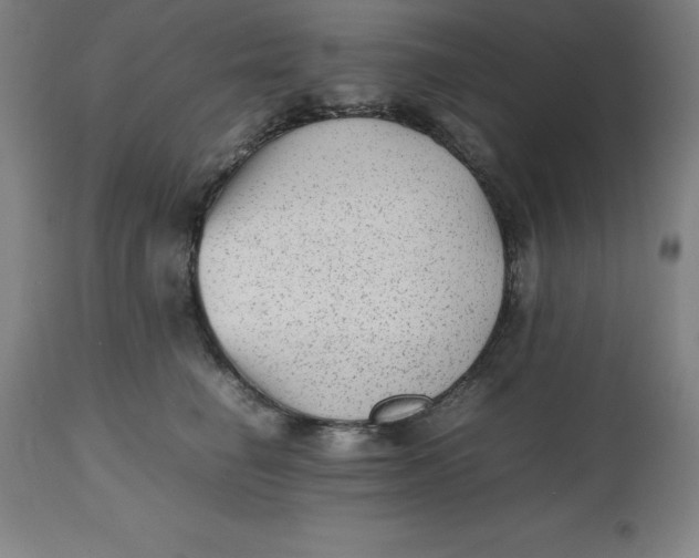 X0000112510662200909071310