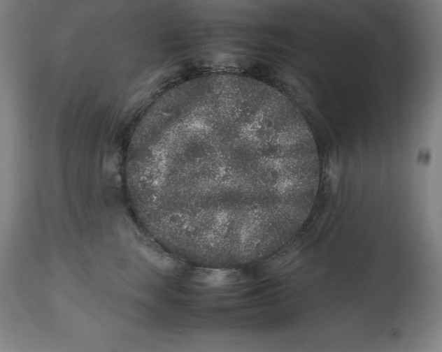 X0000112510663200909071310