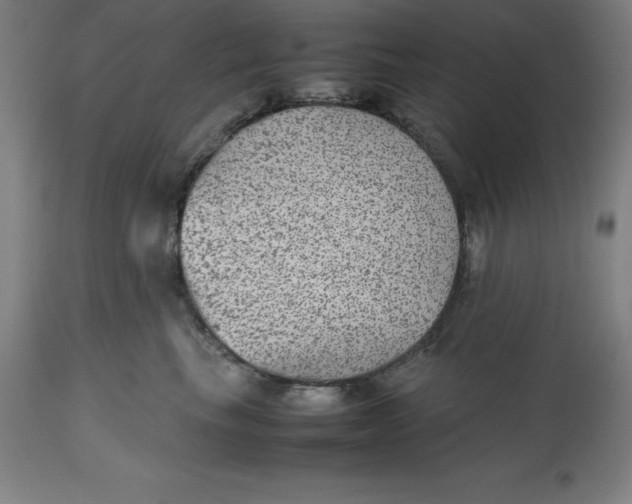 X0000112510665200909071310