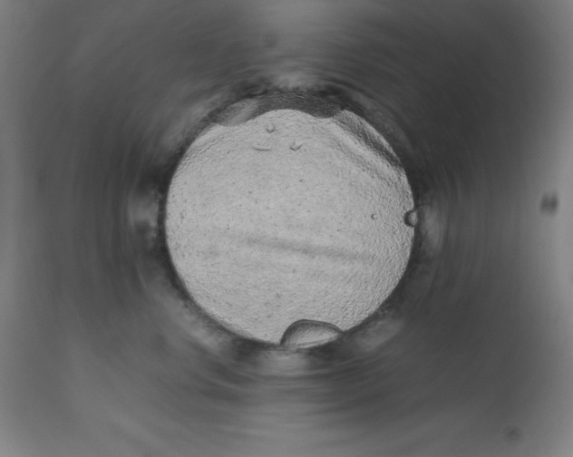 X0000112510668200909071310