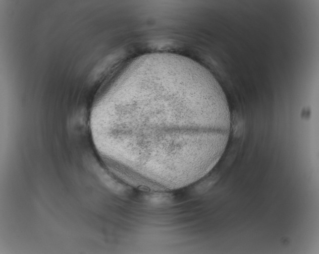 X0000112510670200909071310