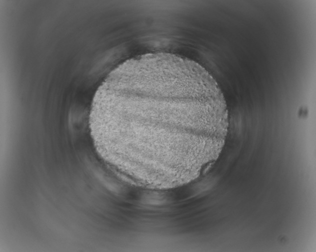 X0000112510671200909071310