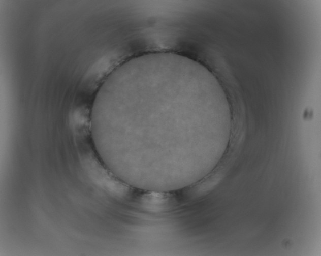 X0000112510672200909071310