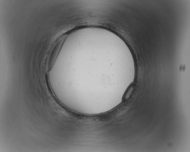 X0000112510673200909071309