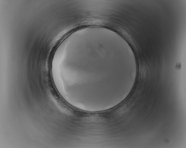 X0000112510674200909071309