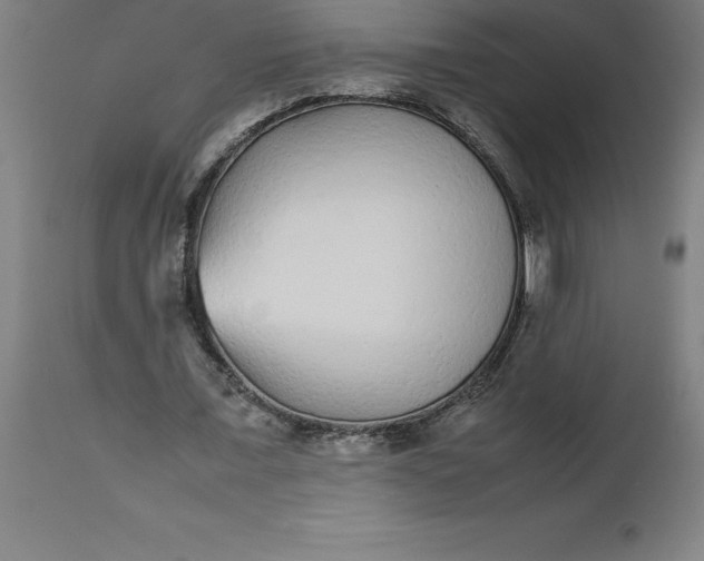 X0000112510675200909071309