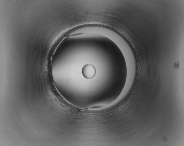 X0000112510676200909071309