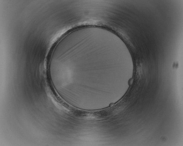 X0000112510678200909071309