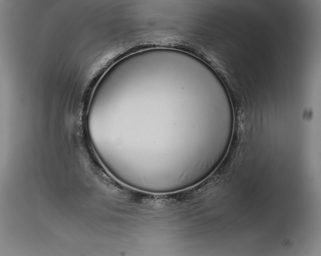 X0000112510679200909071309