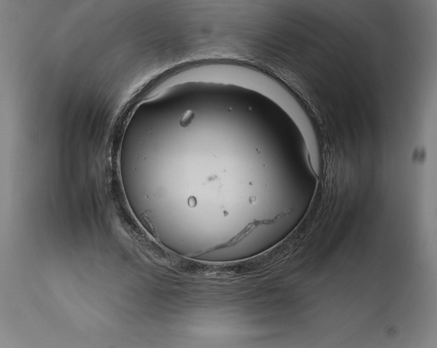 X0000112510680200909071309