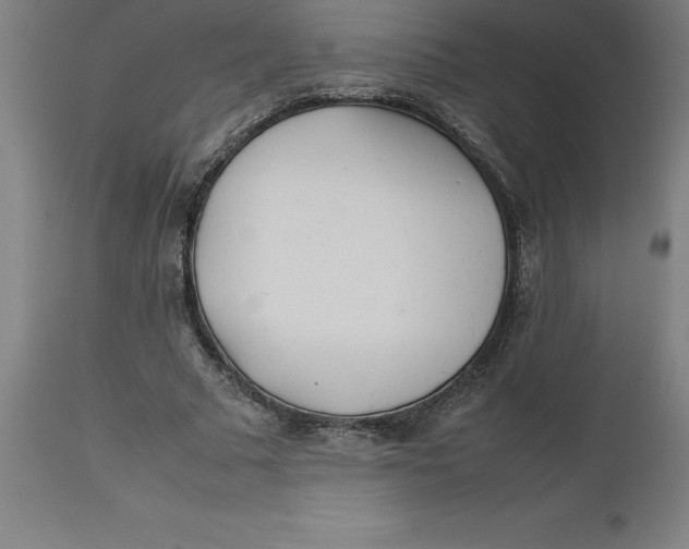 X0000112510681200909071309