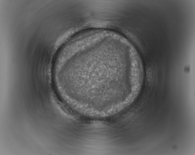 X0000112510682200909071309