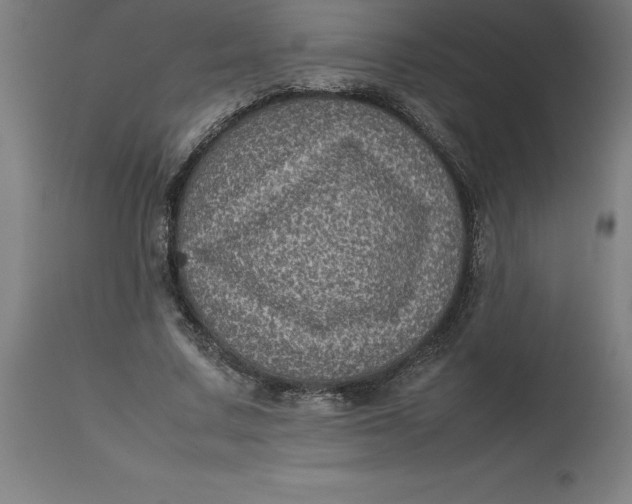 X0000112510683200909071309