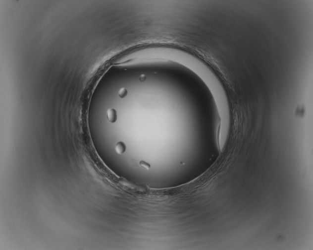 X0000112510684200909071309