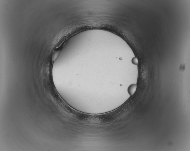 X0000112510685200909071309