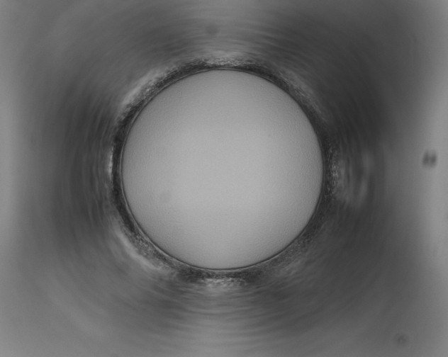 X0000112510686200909071309