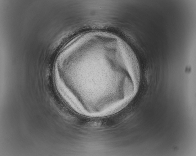 X0000112510687200909071309