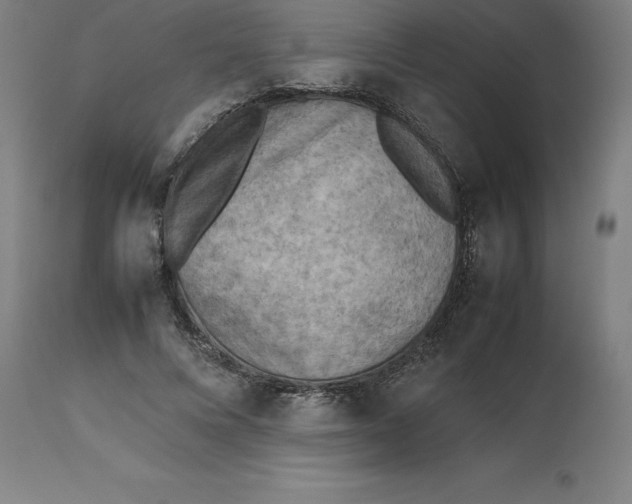 X0000112510688200909071309