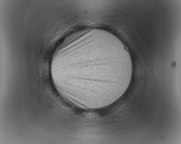 X0000112510689200909071309