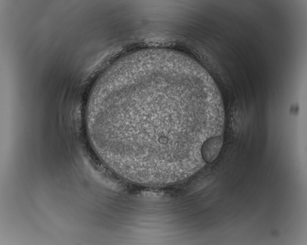 X0000112510690200909071309