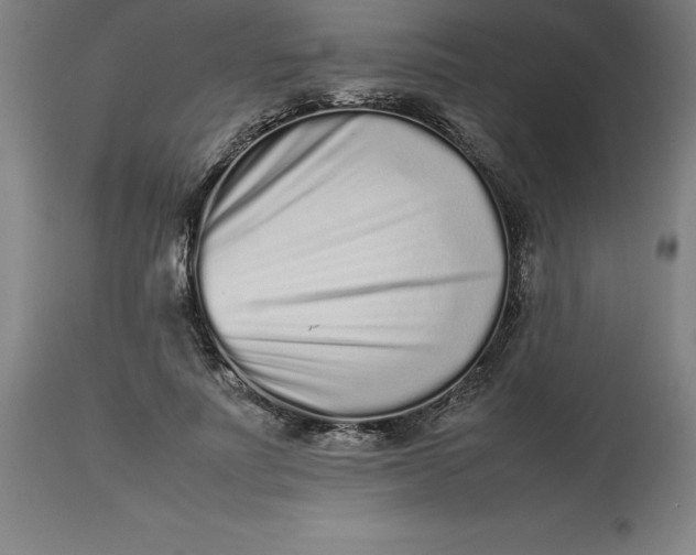 X0000112510691200909071309