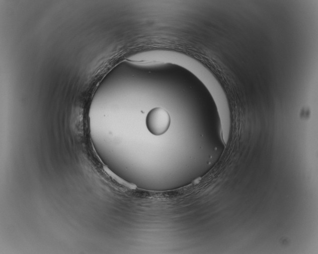 X0000112510696200909071309