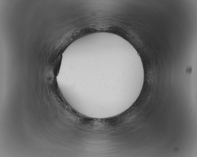 X0000112510697200909071308