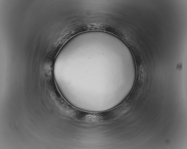 X0000112510699200909071308