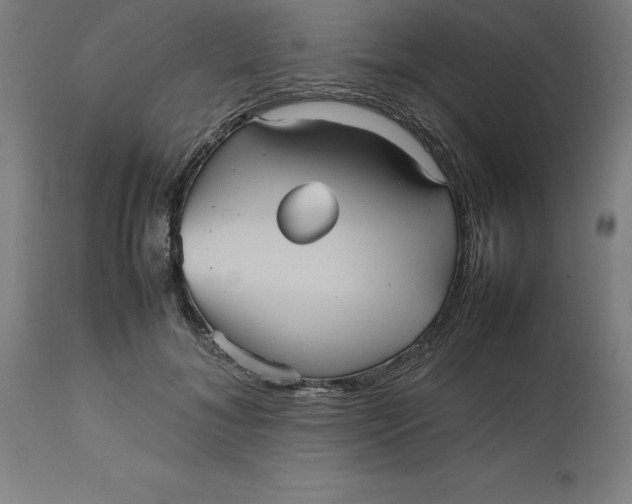 X0000112510700200909071308