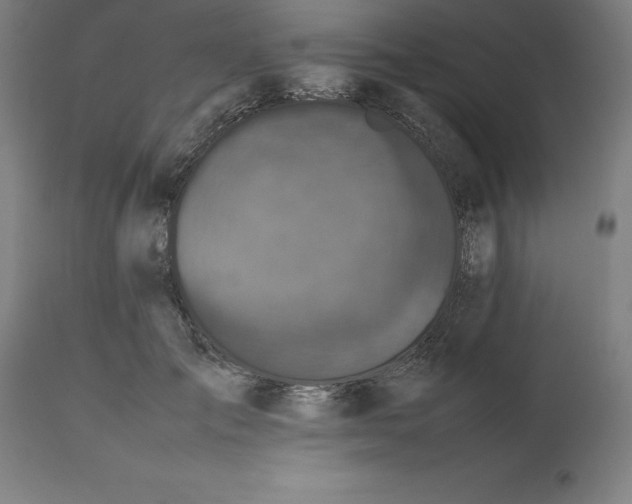 X0000112510701200909071308