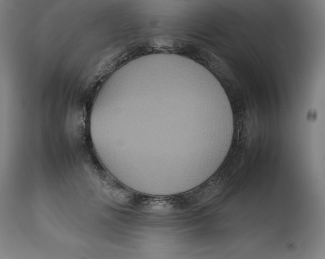 X0000112510702200909071308